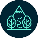 Icon expertise