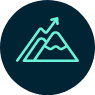 Icon Director Assessments